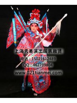 戏曲京剧大靠武将武生